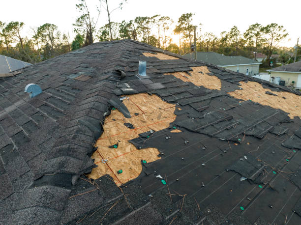 Best Roof Leak Repair  in Saginaw, TX